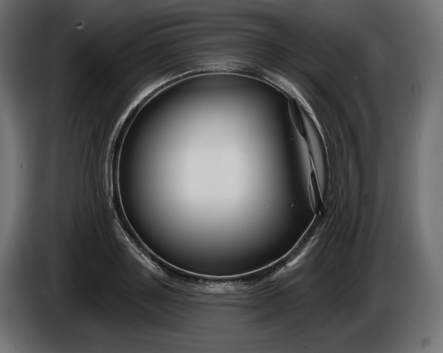 X0000086300843200704131608