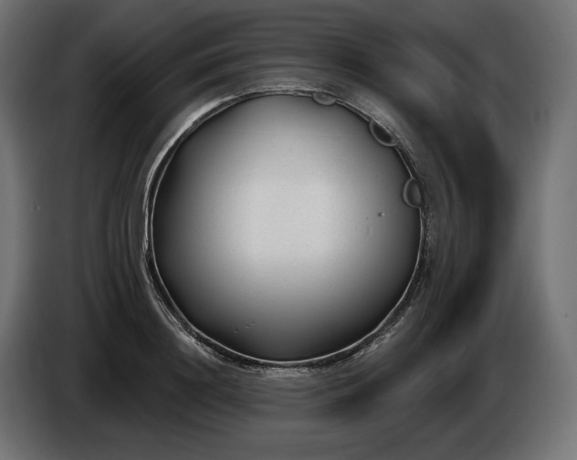 X0000086300844200704131608