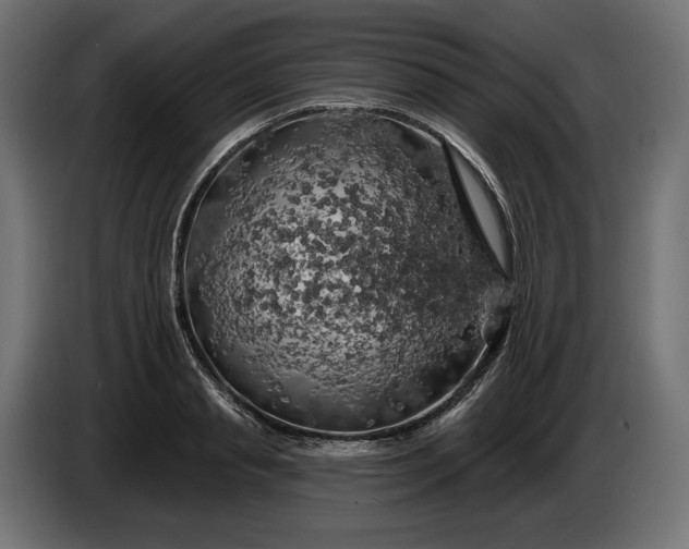 X0000086300845200704131608