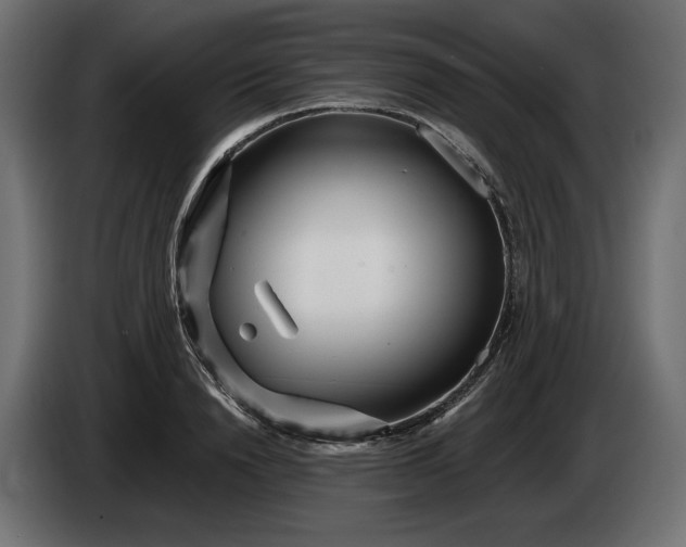 X0000086300846200704131608