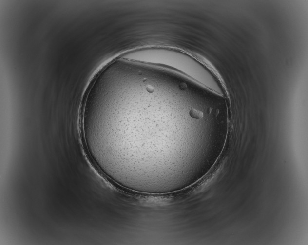 X0000086300847200704131608