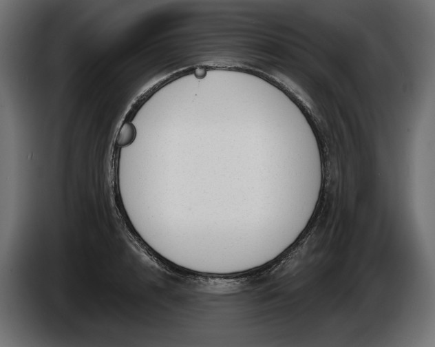 X0000086300848200704131608