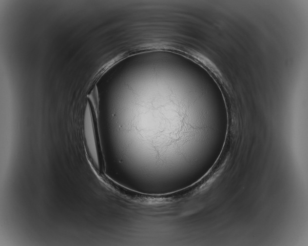 X0000086300849200704131608