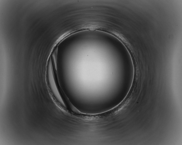 X0000086300850200704131608