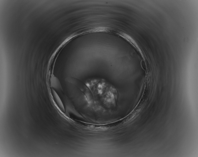 X0000086300851200704131608