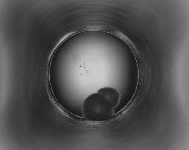 X0000086300852200704131608