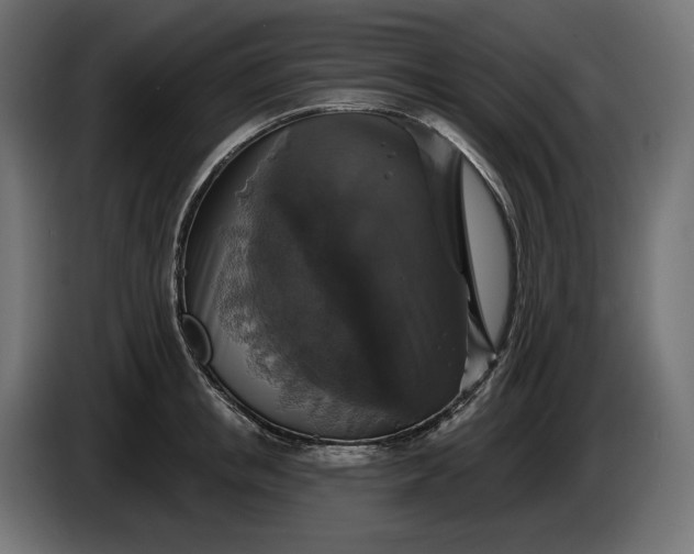 X0000086300853200704131608