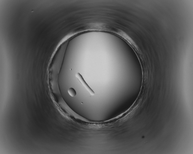 X0000086300854200704131608