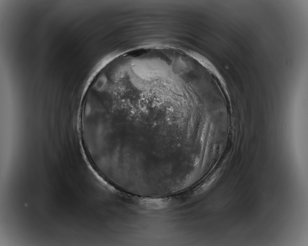 X0000086300855200704131608