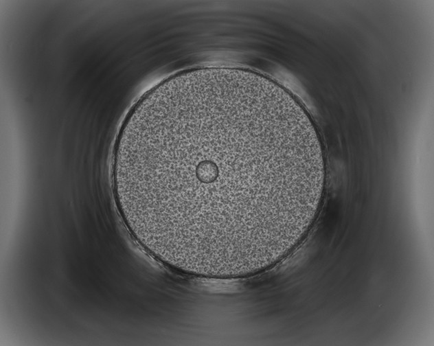 X0000086300856200704131608