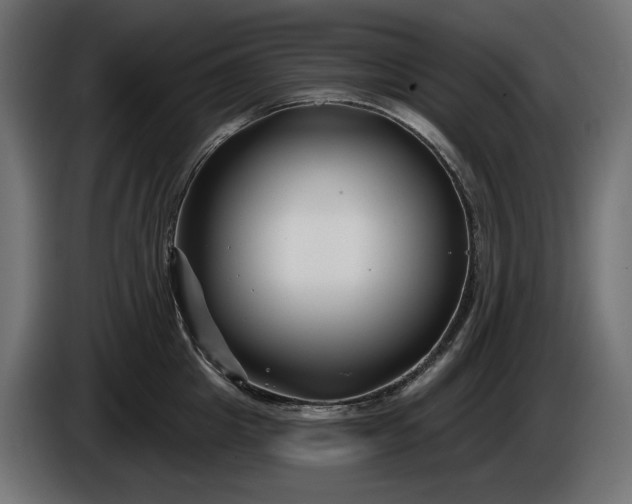 X0000086300857200704131608