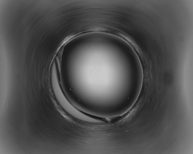 X0000086300858200704131608