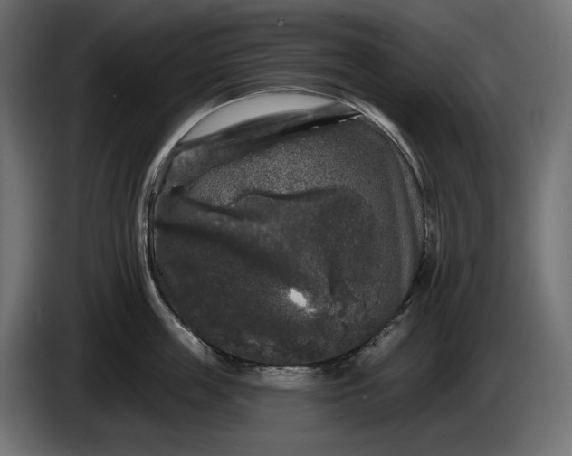 X0000086300859200704131608