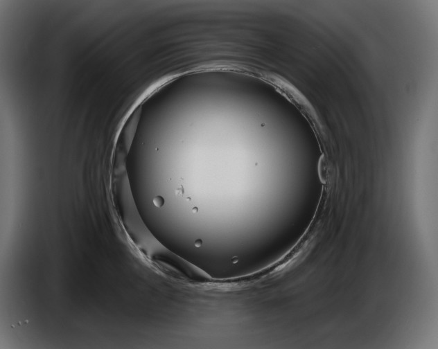 X0000086300860200704131608