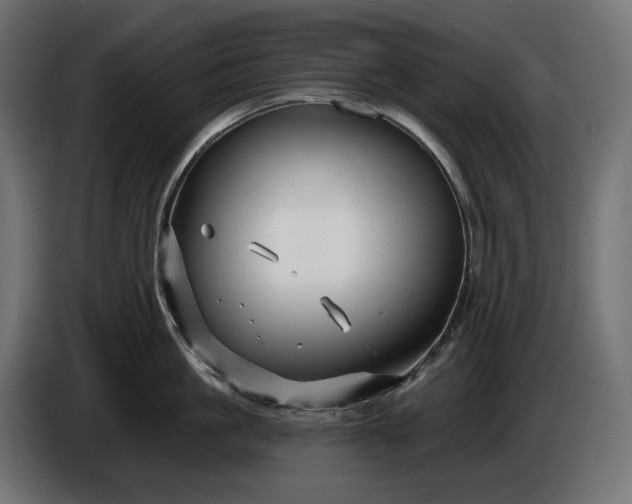 X0000086300861200704131608