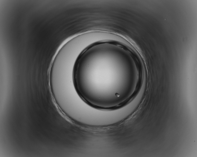 X0000086300862200704131608