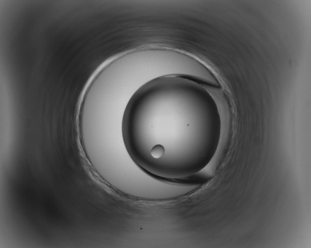 X0000086300864200704131608