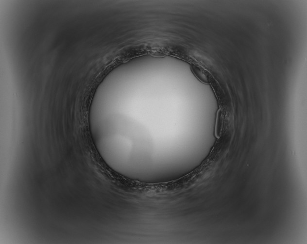 X0000086300865200704131607