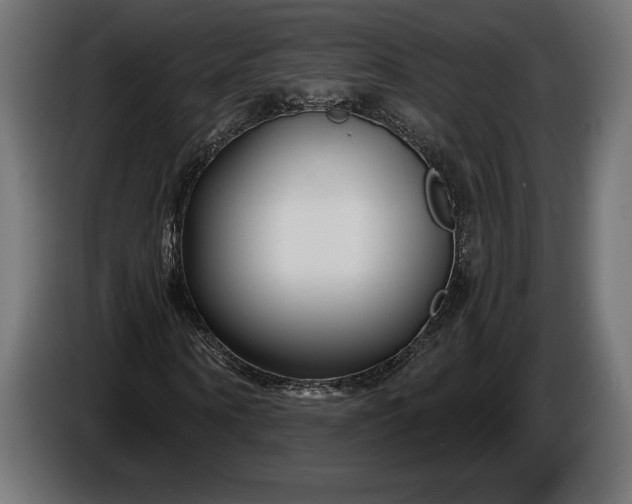 X0000086300866200704131607