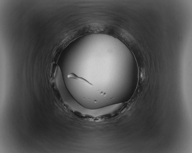 X0000086300867200704131607