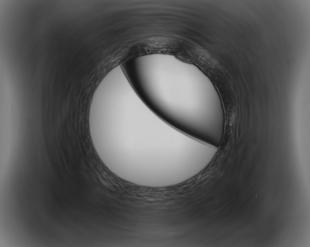 X0000086300868200704131607