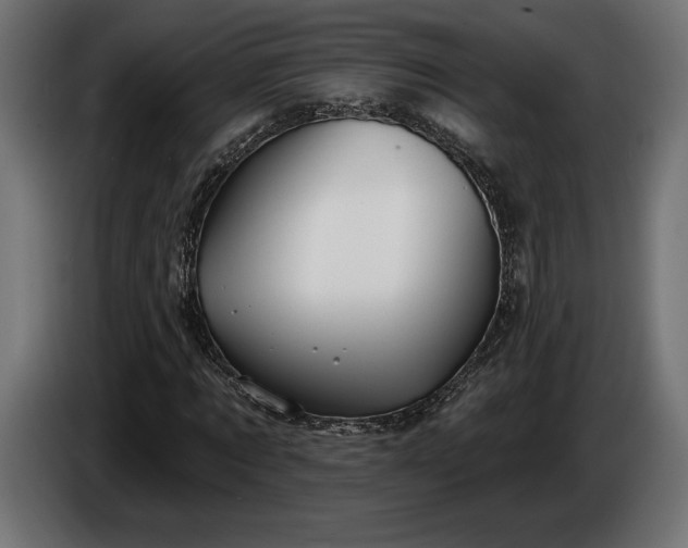 X0000086300869200704131607