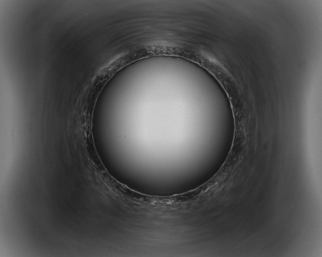 X0000086300870200704131607