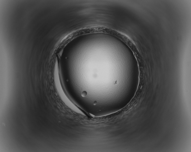 X0000086300871200704131607