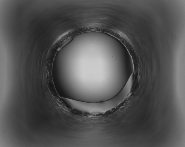 X0000086300872200704131607