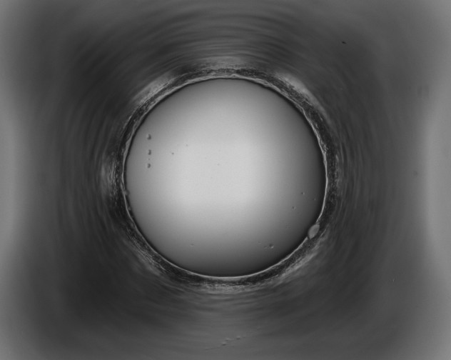 X0000086300873200704131607