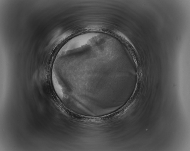 X0000086300874200704131607