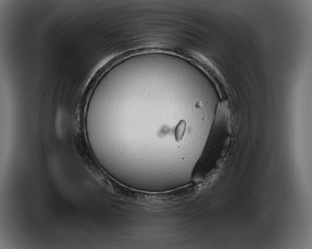 X0000086300875200704131607