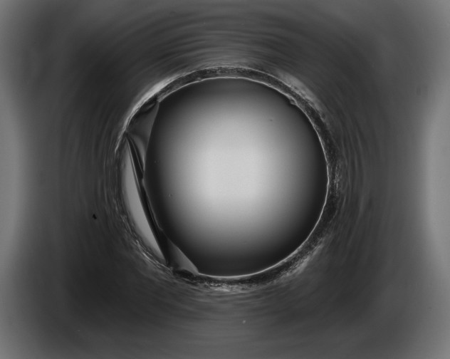 X0000086300877200704131607