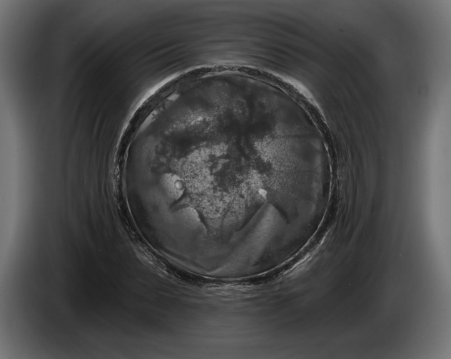 X0000086300879200704131607