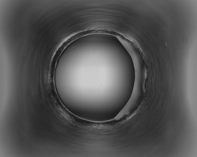 X0000086300880200704131607