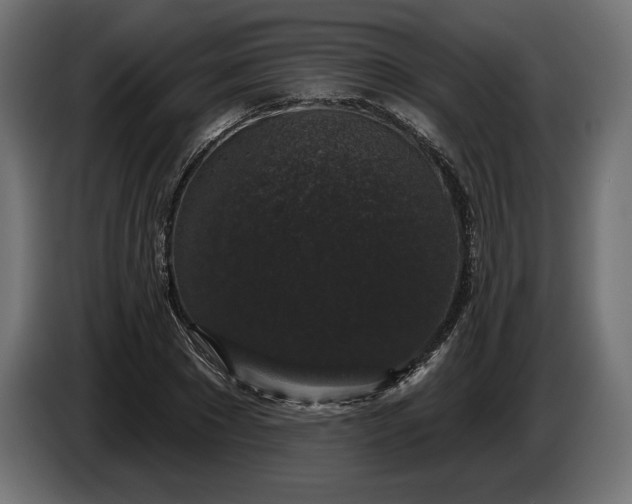 X0000086300881200704131607