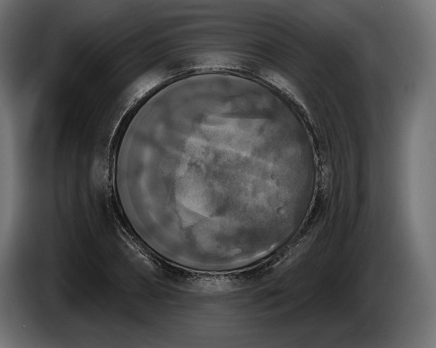 X0000086300882200704131607