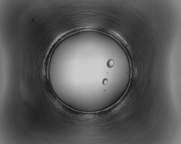 X0000086300883200704131607