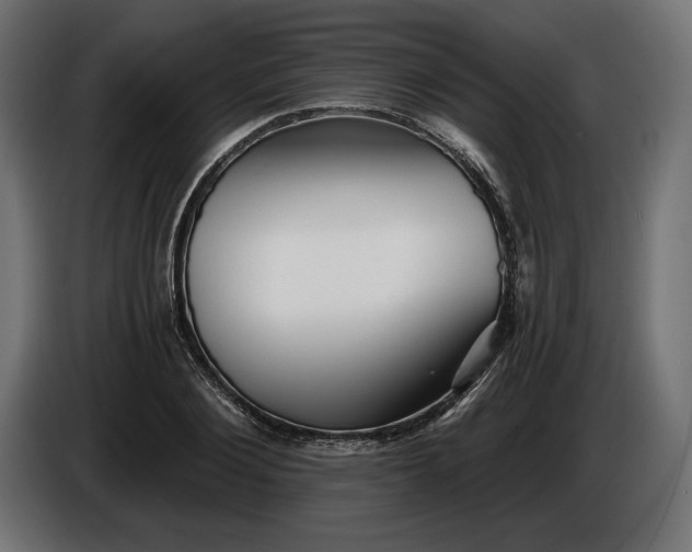 X0000086300884200704131607