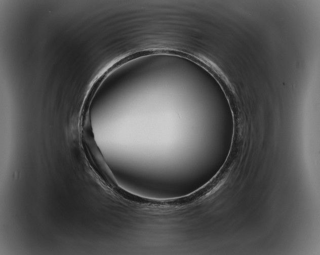 X0000086300885200704131607