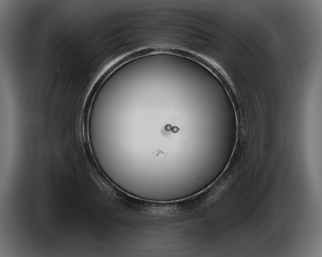 X0000086300887200704131607