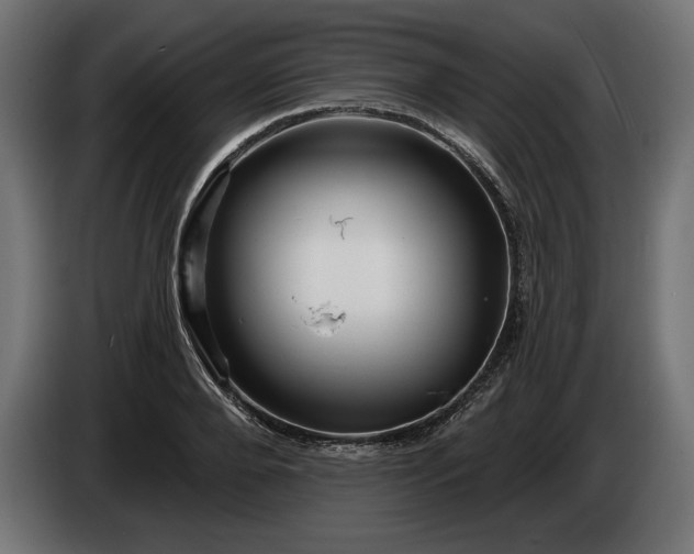 X0000086300888200704131607