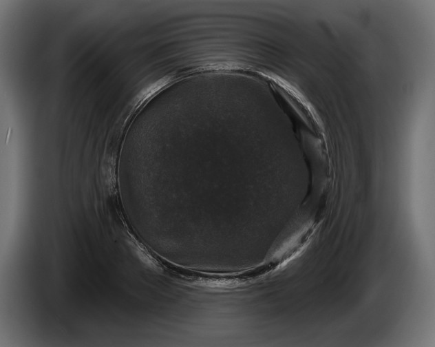 X0000086300889200704131607