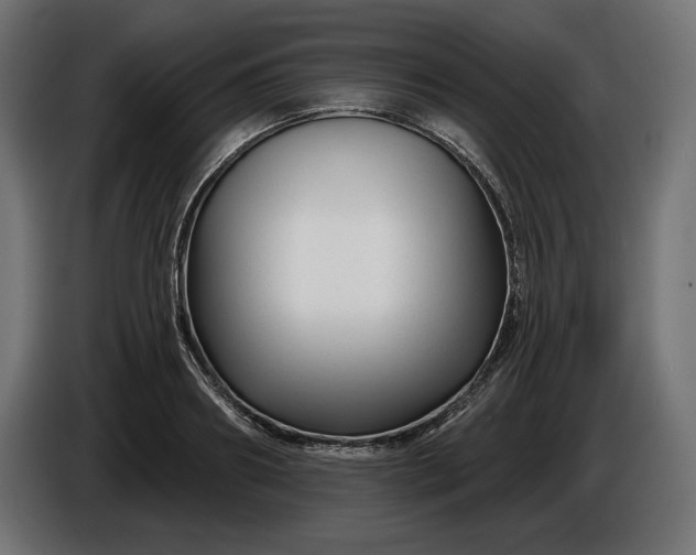 X0000086300890200704131607