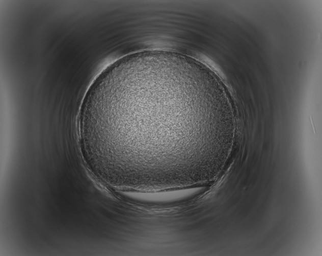 X0000086300891200704131607