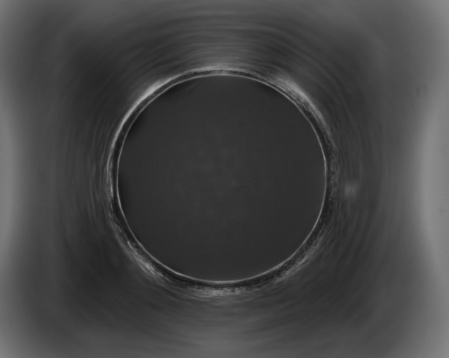 X0000086300892200704131607