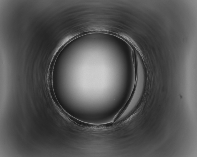 X0000086300893200704131607