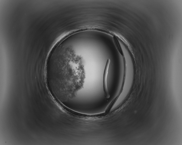 X0000086300894200704131607