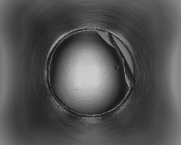 X0000086300896200704131607