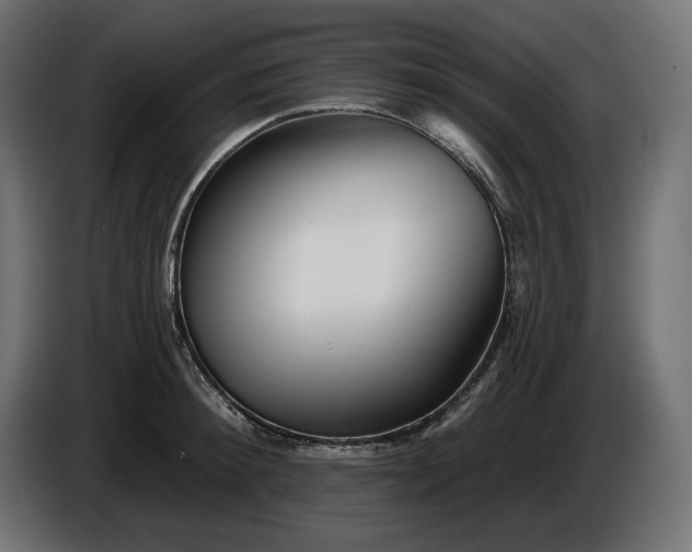 X0000086300900200704131607